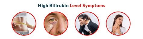 High Bilirubin Levels (Hyperbilirubinemia): Symptoms, Causes.